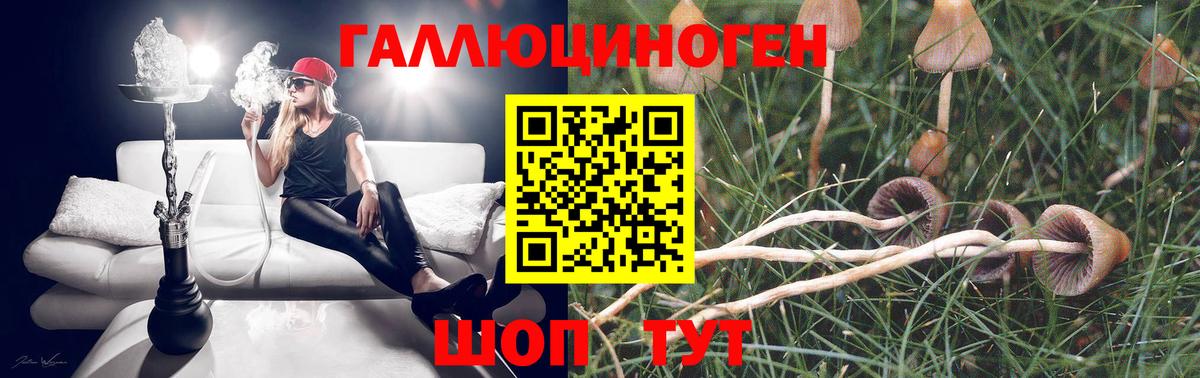Псилоцибиновые грибы мухоморы Камышлов