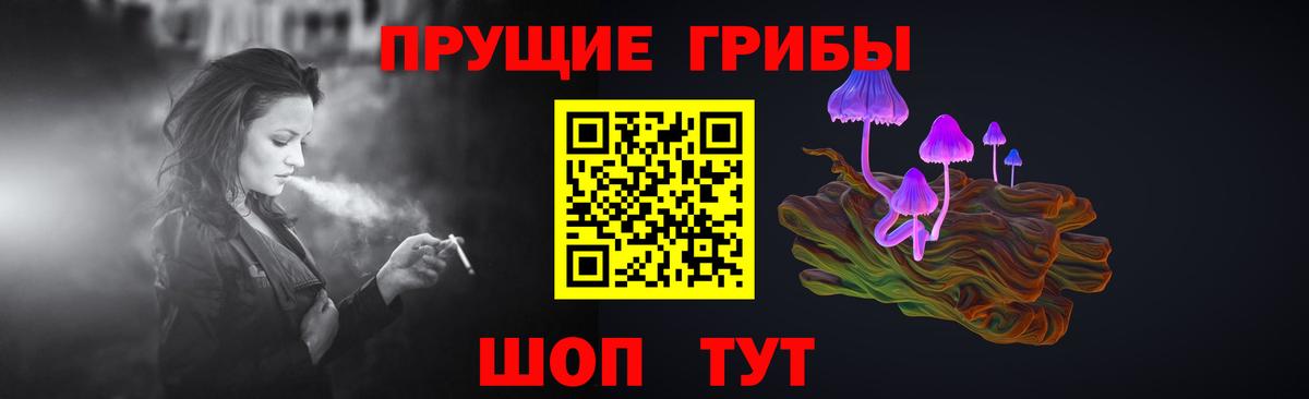 Камышлов  Псилоцибиновые грибы MAGIC MUSHROOMS  Вход с VPN  Галлюциногенные грибы MAGIC MUSHROOMS 